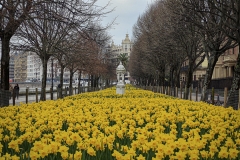 Pedro-Eugenio-Vaquero-Donostia-Narcisista