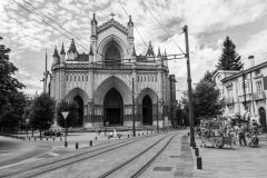 Ricardo-Santa-Cristina-Camino-a-la-catedral