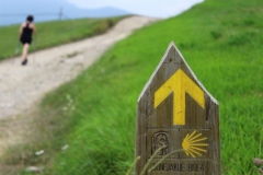 10-Bittor-Munarriz-Caminante