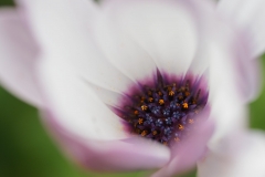 27-Oier-Larranaga-Lorezaletasuna