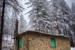 David-Piqueras-Camino-a-Aitzorrotz-II