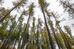 Felix-Urrutia-Bakartasunean