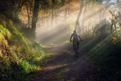 IAlonso-Gtz-de-la-Torre-Antzuolako-trenbidetik