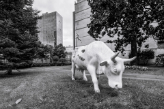 Idoia-Eletxigerra-Simbolo