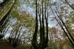 Irati-Gomez-Tocando-el-cielo