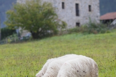 Jaione-de-la-Puerta-Lorezainak