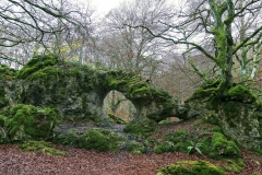 Juan-Luis-Elizaran-Arnoko-Labirintoa