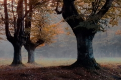 Konsuelo-Errasti-PRESAZELAI