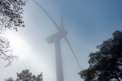 Nerea-Agirre-Entre-la-niebla