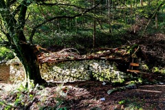 AitorPieDeHierro-Titulurik-gabe