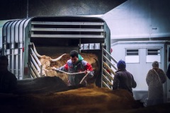 Carlos-de-Cos-En-crisis