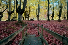 Konsuelo-Errasti-PRESAZELAIKO-PAGADIXA