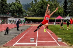 Pedro-San-Roman-La-lucha-en-la-vida