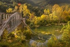 Camino a ninguna parte