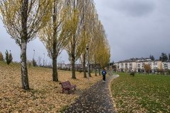 DEPORTE EN OTOÑO