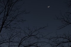 Luna de otoño
