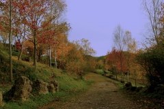Otoño al óleo