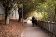 Paseando por el arco