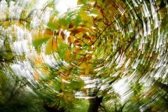 Tornado de color