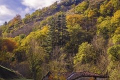 Arbe-Aitor_Bengoa