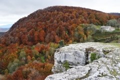 Basoaren-sua-Iber_Iparragirre