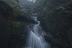 El-visitante-Juan_Manuel_Fernandez