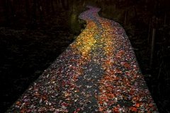 La-pasarela-Carlos_de_Cos