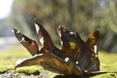 Naturaren-esku-Iñaki_Rubio