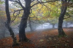 Pasillo-de-color-Jose_Luis_Ruiz