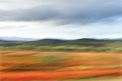 RiojaAlavesa-3-Jose_Ramon_Moreno