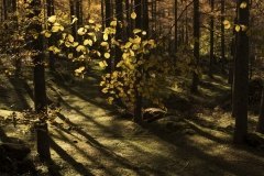 Susurros-de-luz-Ana_Moto