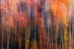 03-Udazken-jolasak-Iker_Aizkorbe