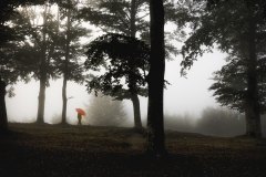 08-Paseo-Alfredo_Losada
