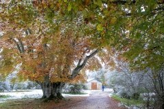 35-Colorines-Miguel_Cavero