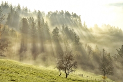 04-Aimar_Elortza-Lehen_argi_izpiak