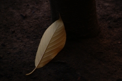 Bittor_Munarriz-Soledad