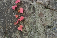 Juan_Cruz_Larrañaga-Ostotxoak