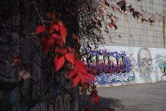 Oier_Larrañaga-Urban_graffiti