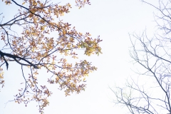 Ricardo_Santa_Cristina-Zerura_begiratzen