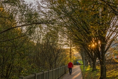 Sebas_Lozano-Paseo_de_otoño