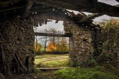 El otoño está fuera / Sebas Lozano Fuentes