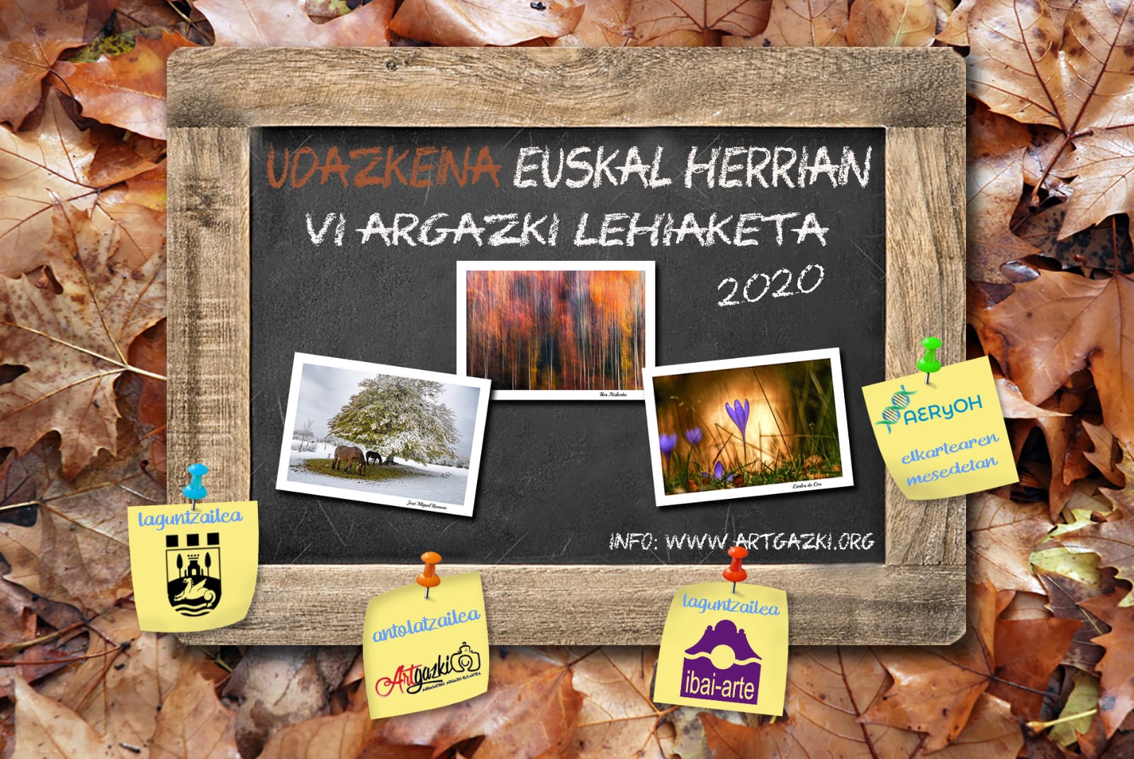 Udazkena Euskal Herrian 2020 / El Otoño en Euskal Herria 2020